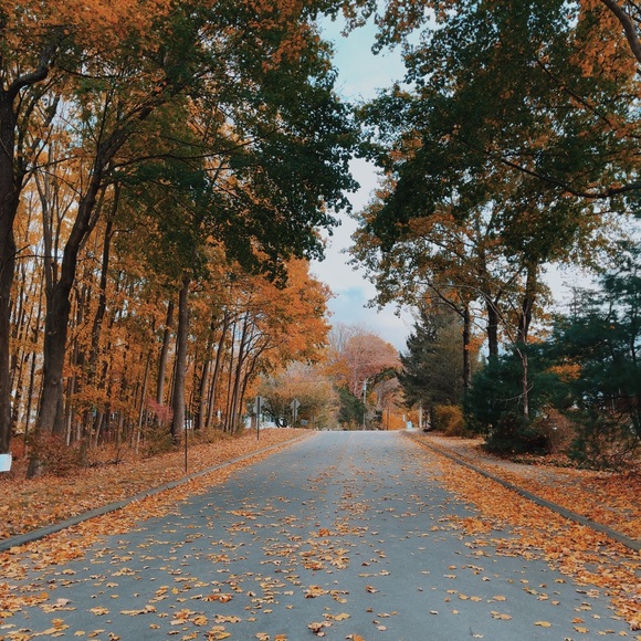 Meet your Posher, Mylene - Picture 8 of 12